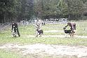 Baby Males